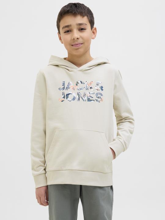 Image du produit Jack & Jones Jjebryan Corp Logo Sweat Hood Noos Jnr (176)