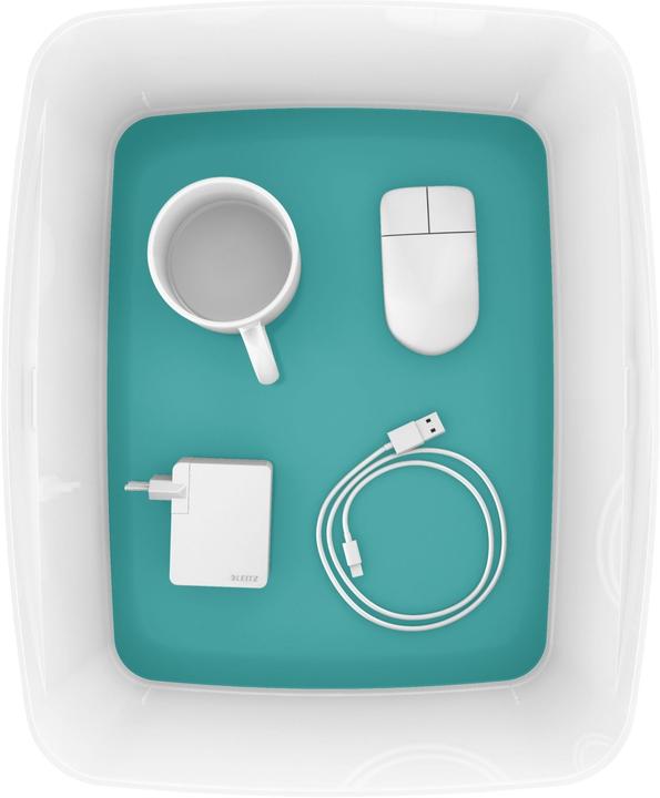 Immagine prodotto Leitz MYBOX - Scatola di stoccaggio (31.80 cm, 18 l, 1x)