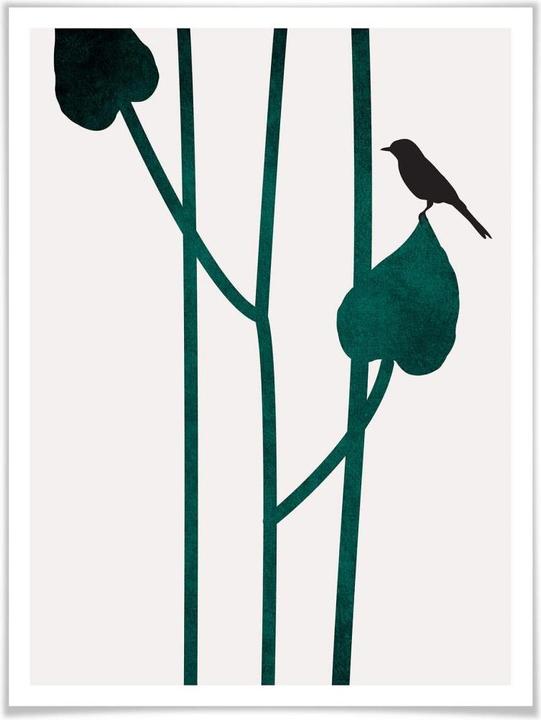 Image du produit Trenddeko Nature (24 x 30 cm)