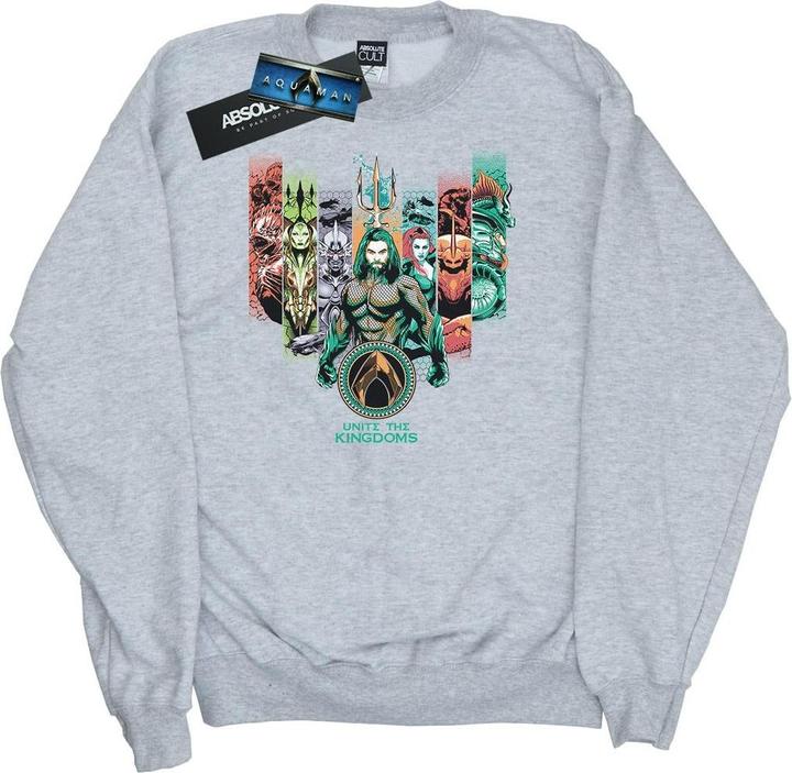 Produktbild Jungen Aquaman vereinigen die Königreiche Sweatshirt (152, 158)
