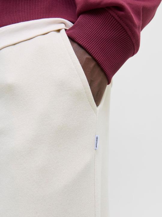Produktbild Jack & Jones Jpstkane Bradley Uncuffed Swt Pants Noos (L)