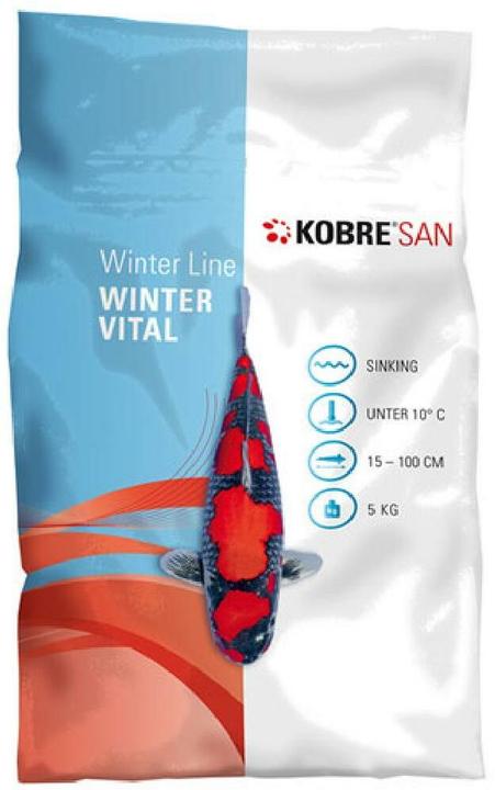 Kobre San Koifutter für Winter (Goldfisch)