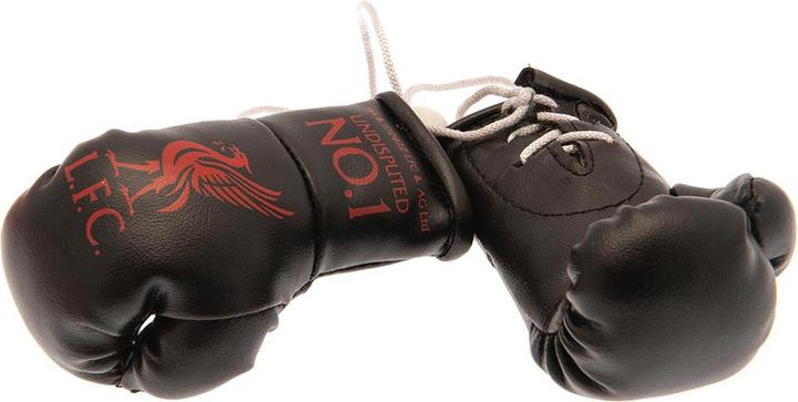 Produktbild Score Draw Autospiegeldekoration Boxhandschuhe