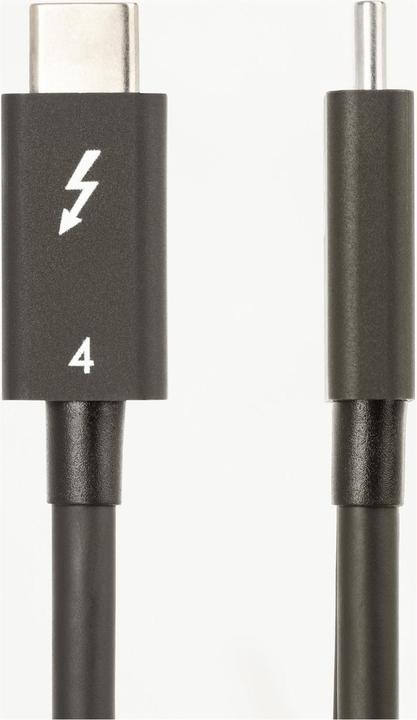 Image du produit StarTech CÂBLE THUNDERBOLT DE 1.6FT (50CM) (0.50 m, USB 4.0, 100 W)