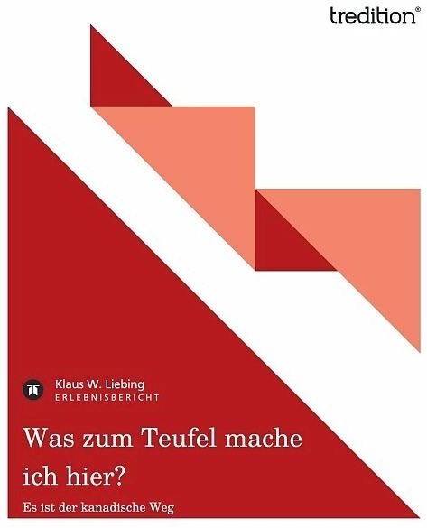 Produktbild Was zum Teufel mache ich hier? (Deutsch, Klaus W. Liebing, 2011)