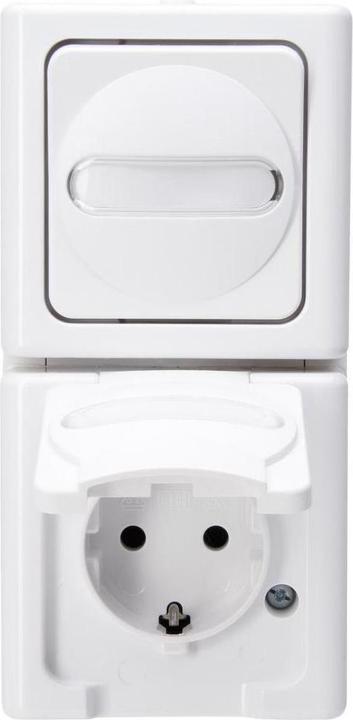 Arctic white