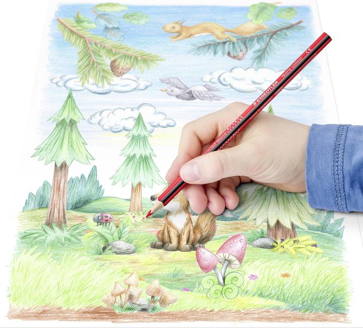 Produktbild Staedtler Buntstift Noris colour 18+6 (24x)