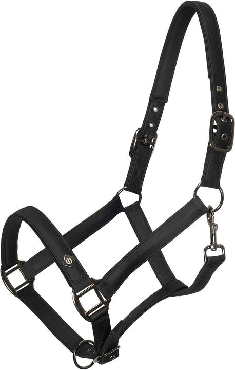 Immagine prodotto Imperial Riding Rebel