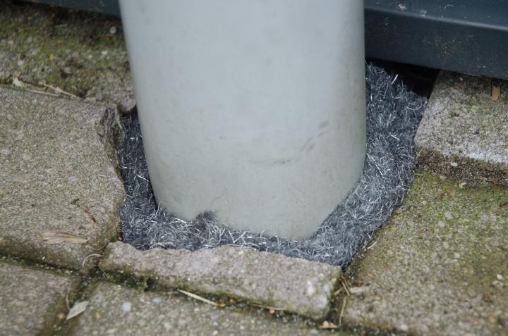 Actual product image Knock Off Rat/mouse defence tape
