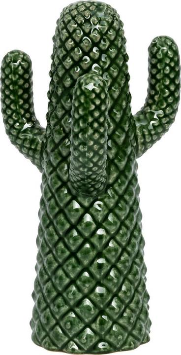 Actual product image pfister Cacto