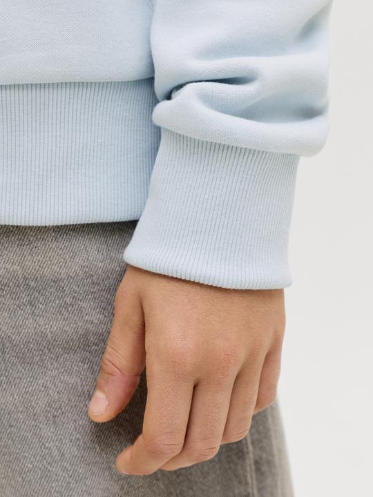 Immagine prodotto Jack & Jones Jjecaleb Varsity Sweat Hood Noos Jnr (152)