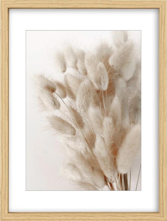 Image du produit Intertrading Brasil