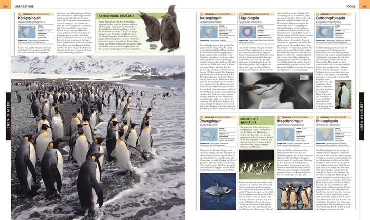 Actual product image Ozeane. DK Bibliothek (German, Kim Dennis-Bryan, David Bernie, Stephan Matthiesen, Eva Sixt, Michael Kokoscha, 2023)