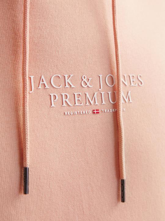 Produktbild Jack & Jones Logo Kapuzenpullover Kapuzenpullover (S)