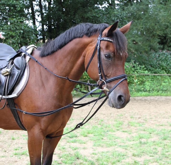 Immagine prodotto Kerbl Redini a triangolo