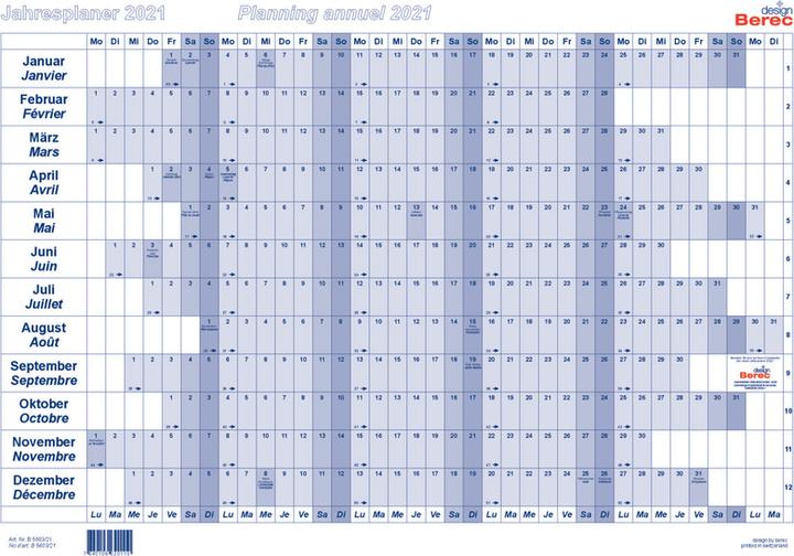 Actual product image Berec Year planner (A3)