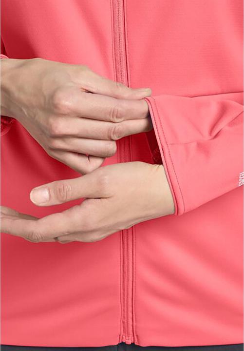 Immagine prodotto Jack Wolfskin Feldberg Hoody W (M)