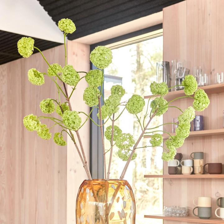 Immagine prodotto OYOY Living Piatto da colazione e da dessert Jali 1 pezzo, rosa/trasparente (1 x, 15.60 cm)