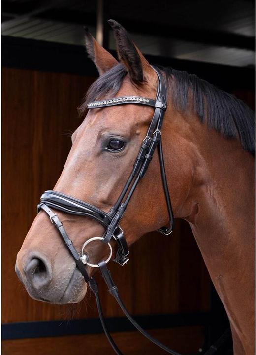 Image du produit Harry's Horse Rondgenaaid Lacque