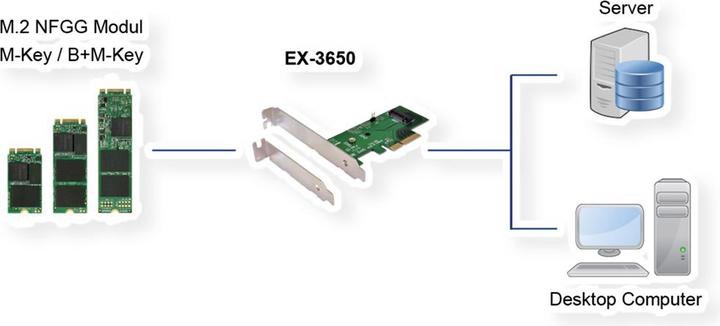 Actual product image Exsys GmbH PCIe x4 to PCIe M.2 NGFF LP Adapter