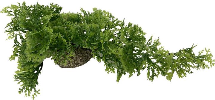 Produktbild EBI Aqua Della Phoenix XL (Dekoration, Pflanzen)