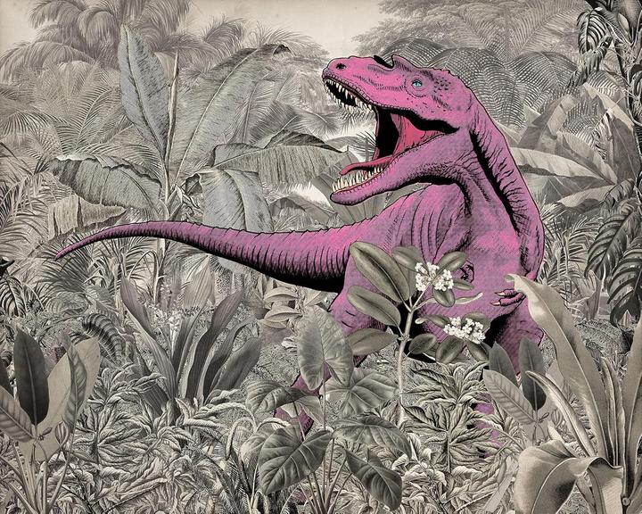 Productafbeelding Komar Vliesbehang Into Adventure Pinky 7-panel 350 x 280 cm