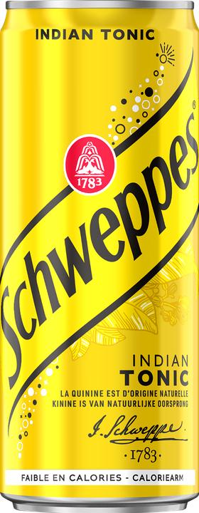 Actual product image Schweppes Indian Tonic (6 x 33 cl)