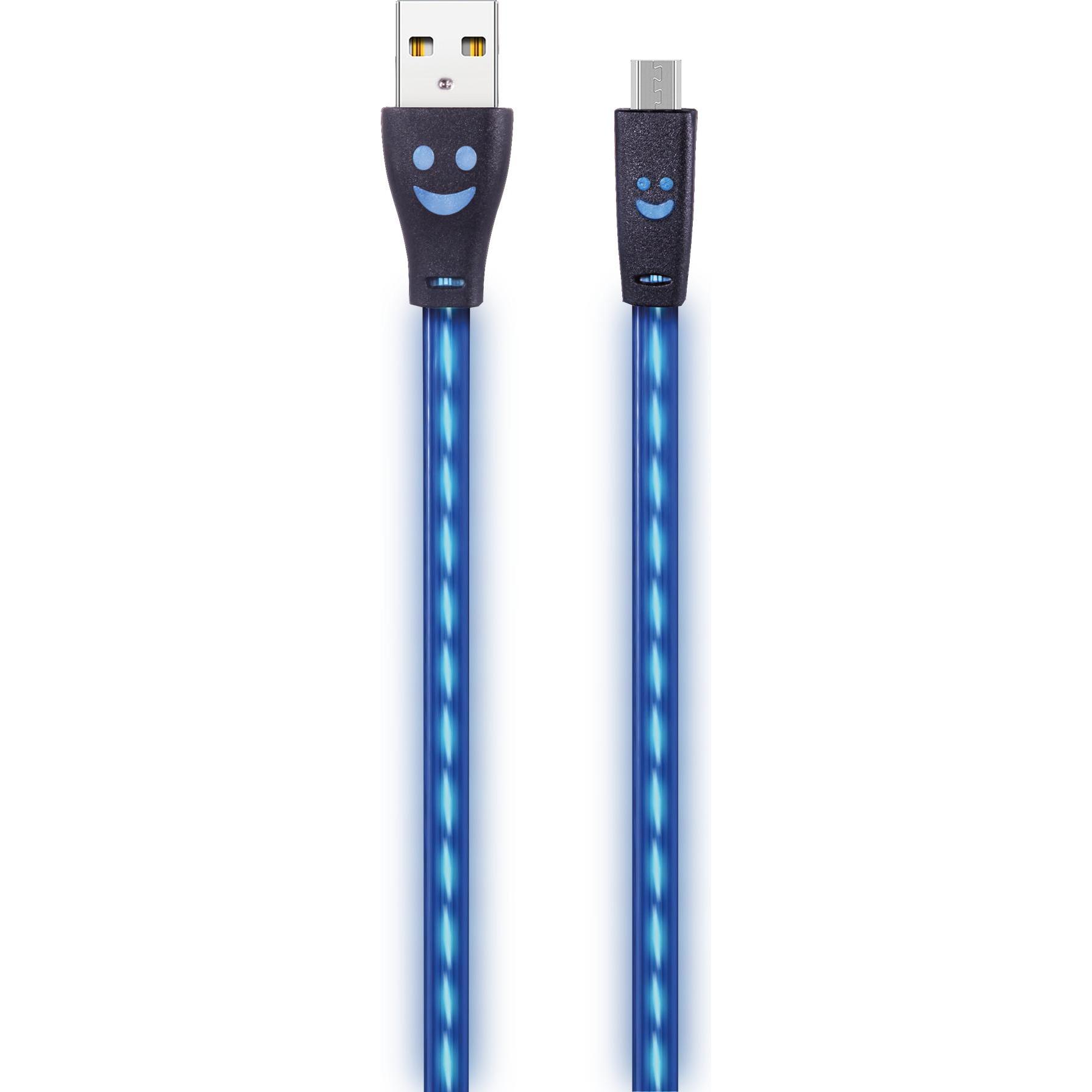 2GO 795535 USB Kabel USB B Micro-USB B (1 m), USB Kabel