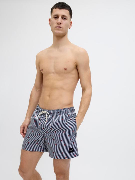 Immagine prodotto Jack & Jones Jpstmaui Jjswim Mini Stripe Akm Sn (M)