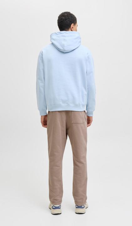 Actual product image Jack & Jones Relaxed Fit Relaxed Fit Hosen Relaxed Fit Hosen (M)