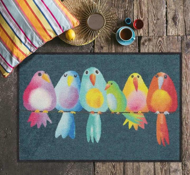 Actual product image Salonloewe Doormat Rainbow Birds 50 cm x 75 cm (50 x 75 cm)