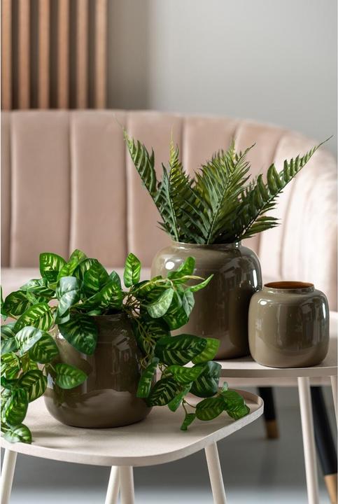 Image du produit present time Ivy (6.86 l)