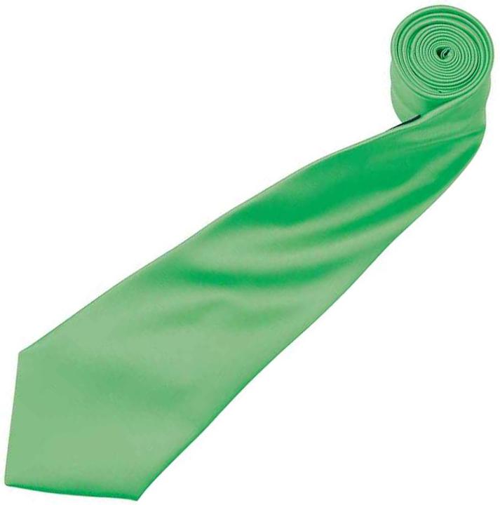 Actual product image Premier Satin tie plain coloured