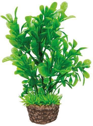 Produktbild Hobby Flora Stone 3 (Dekoration, Pflanzen)