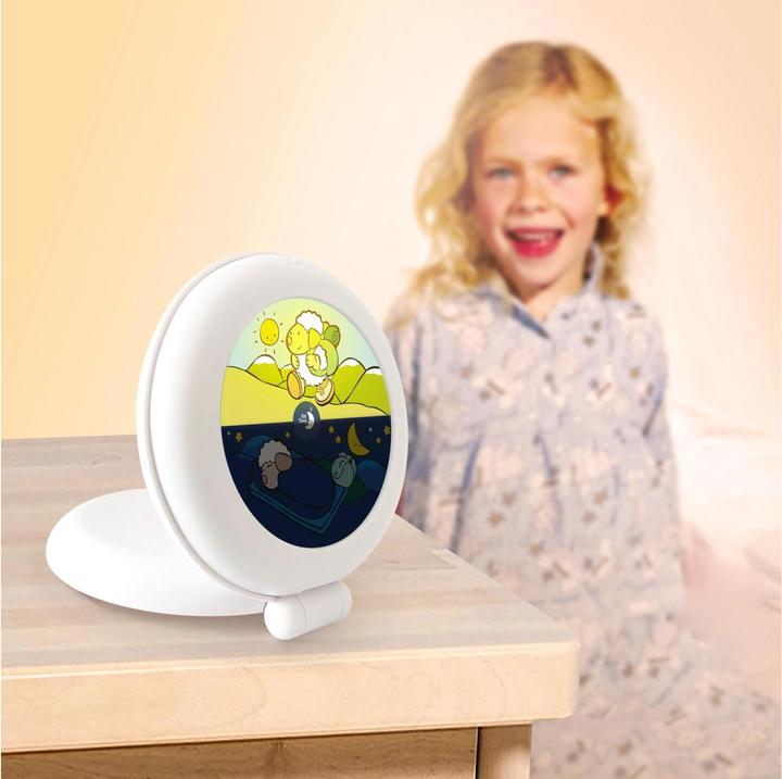 Actual product image Pabobo Globetrotter