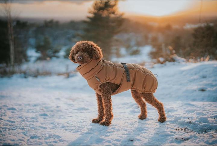 Immagine prodotto Hunter Pet's clothing PAXSON Brown Polyester (Cappotto per cani)