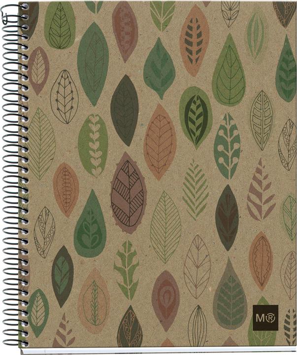 Actual product image Maul ECO Design NB4 ECOLEAVES Recycle A5 SQU 80g farbig (Speditionsversand) (A5, Checked, Hardcover)