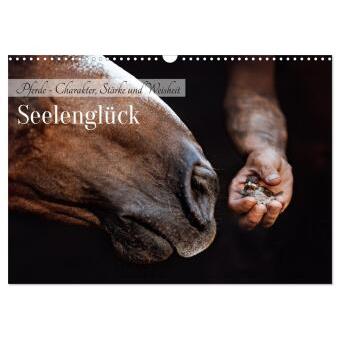 Calvendo, Kalender, :Seelenglück Kalender - Pferde (A5, Deutsch)
