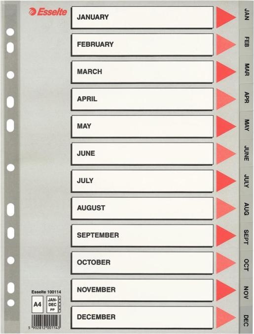 Actual product image Esselte register PP A4 Jan-Dec (GB) gr