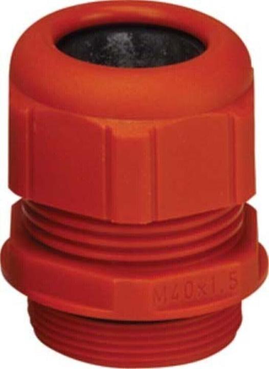 Actual product image Spelsberg Cable gland