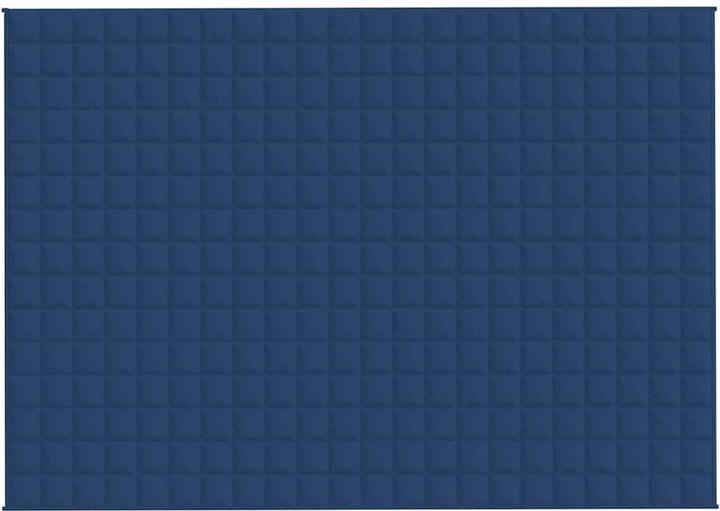Image du produit vidaXL Gewichtsdecke (220 x 155 cm)
