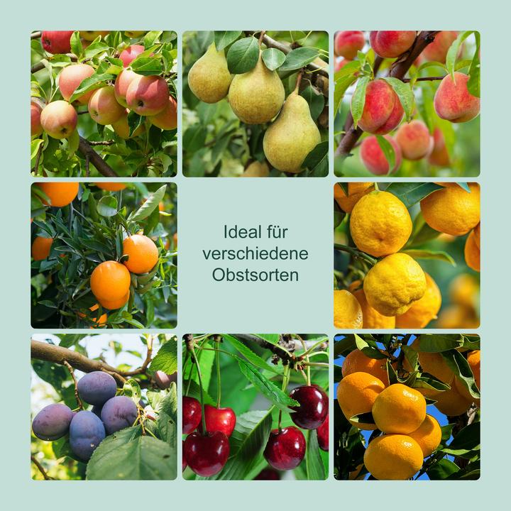 Immagine prodotto Relaxdays Raccoglitore frutta