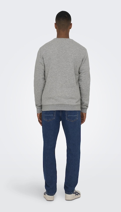 Actual product image Only & Sons Onsceres Life Crew Neck Noos (XL)