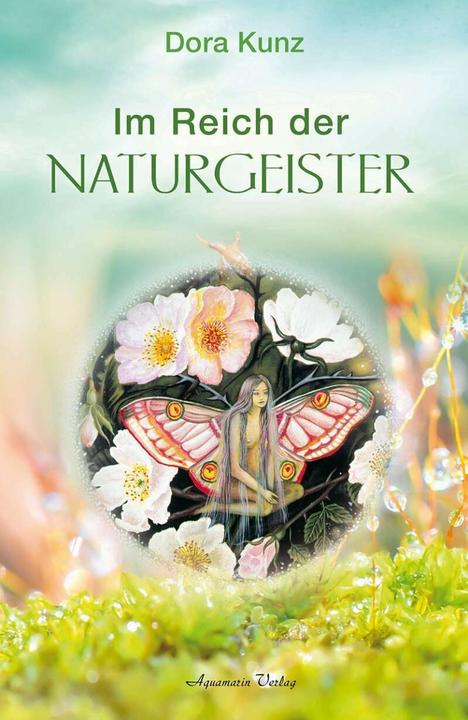 Produktbild Im Reich der Naturgeiser (Deutsch, Dora Kunz, 2002)