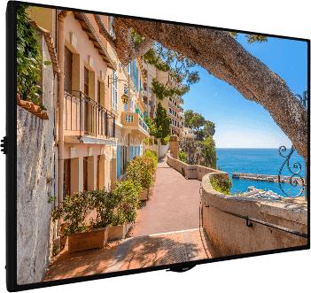 Actual product image Dell P2421 (1920 x 1200 pixels, 24")
