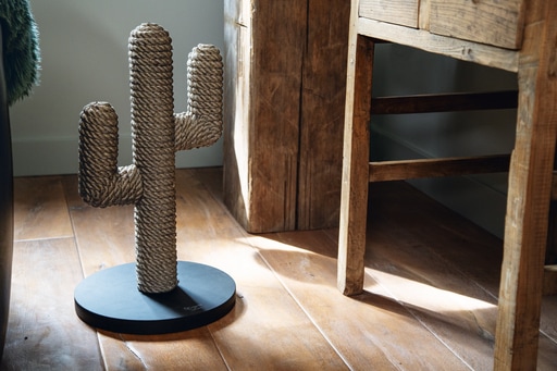 Produktbild Designed by Lotte Cactus (60 cm, Braun, Schwarz, Dunkelbraun)