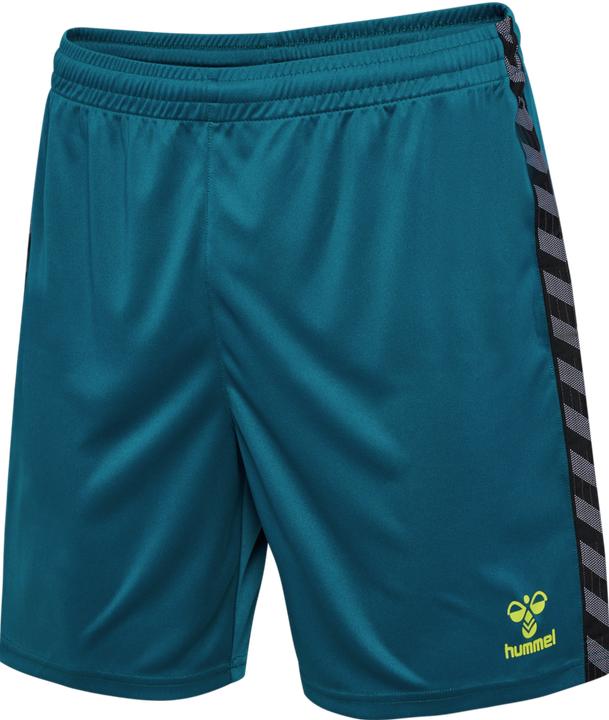 Actual product image hummel Hmlauthentic Pl Shorts (M)