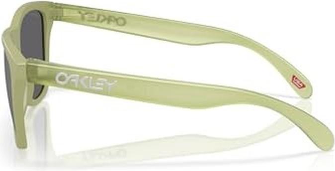Actual product image Oakley Frogskins