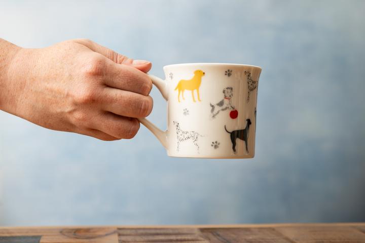 Actual product image Mikasa MK Mug (250 ml)