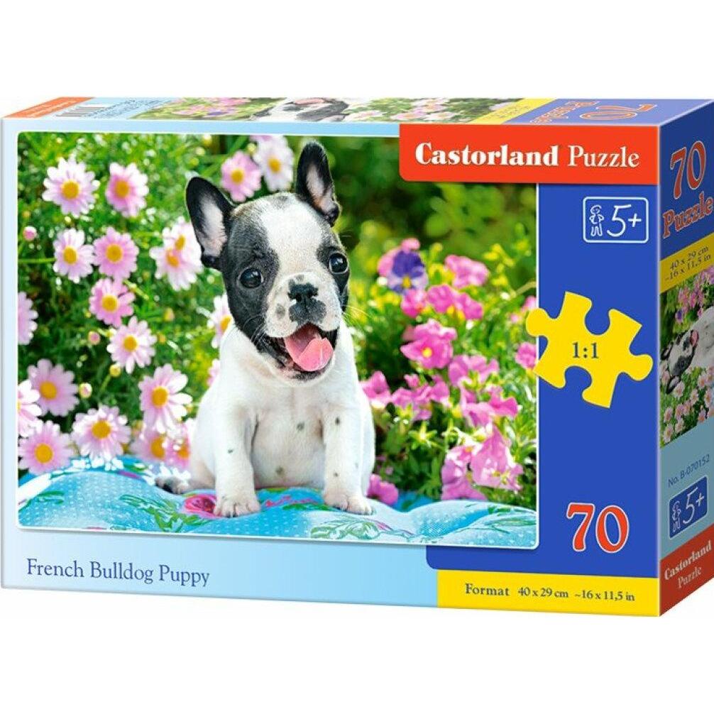 Castorland French Bulldog Puppy Puzzle 70 Teile (70 Teile)
